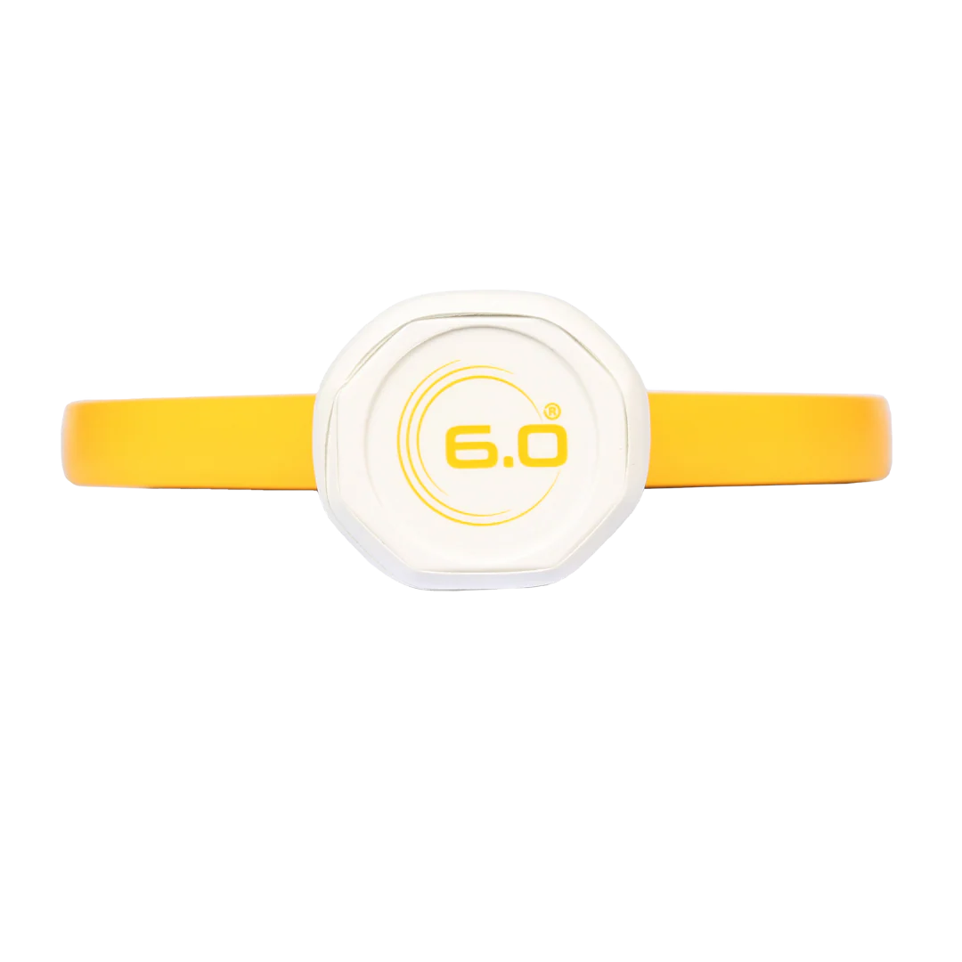 6.0 Six Zero Quartz Pickleball Paddle