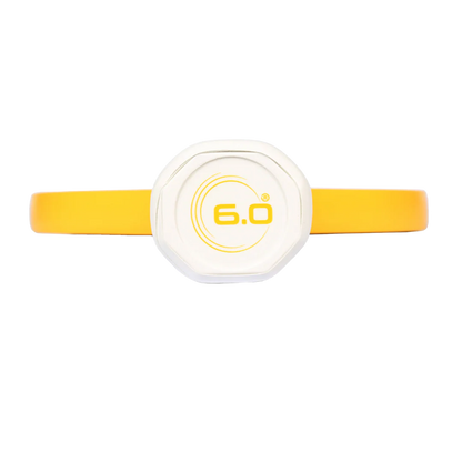 6.0 Six Zero Quartz Pickleball Paddle